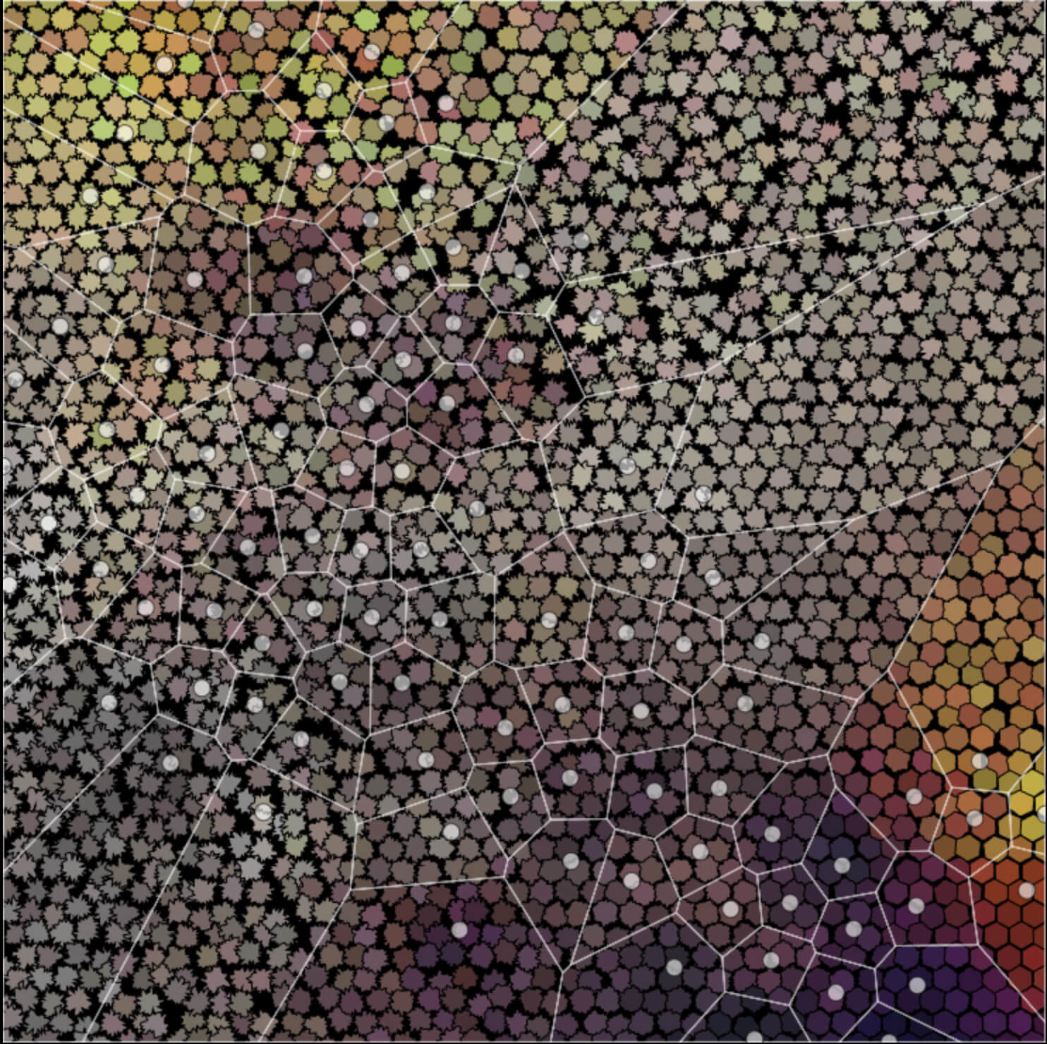 A preview of the texture map found at https://grrrr.org/data/research/texmap/.